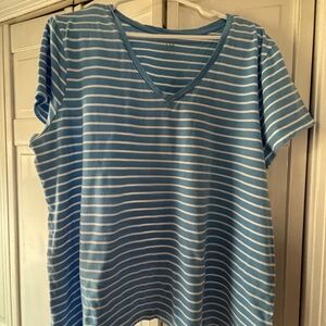 GAP Blue and White Striped V-Neck Tee